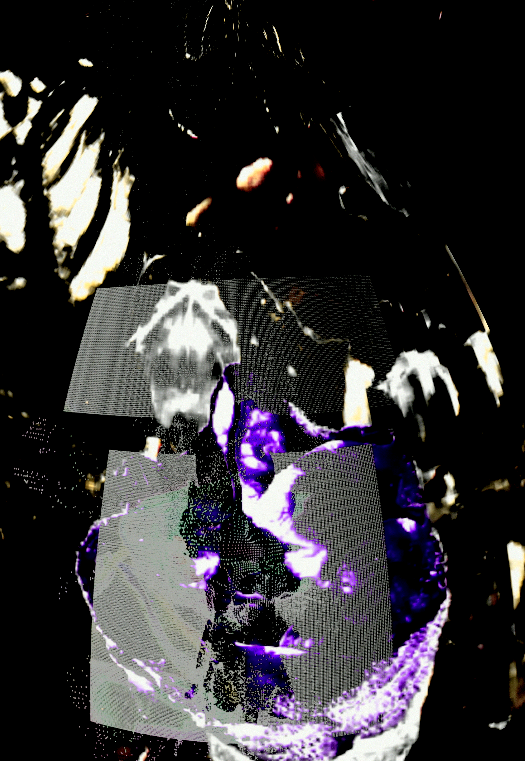 Fulldome-Arbeit für FLOWERS!